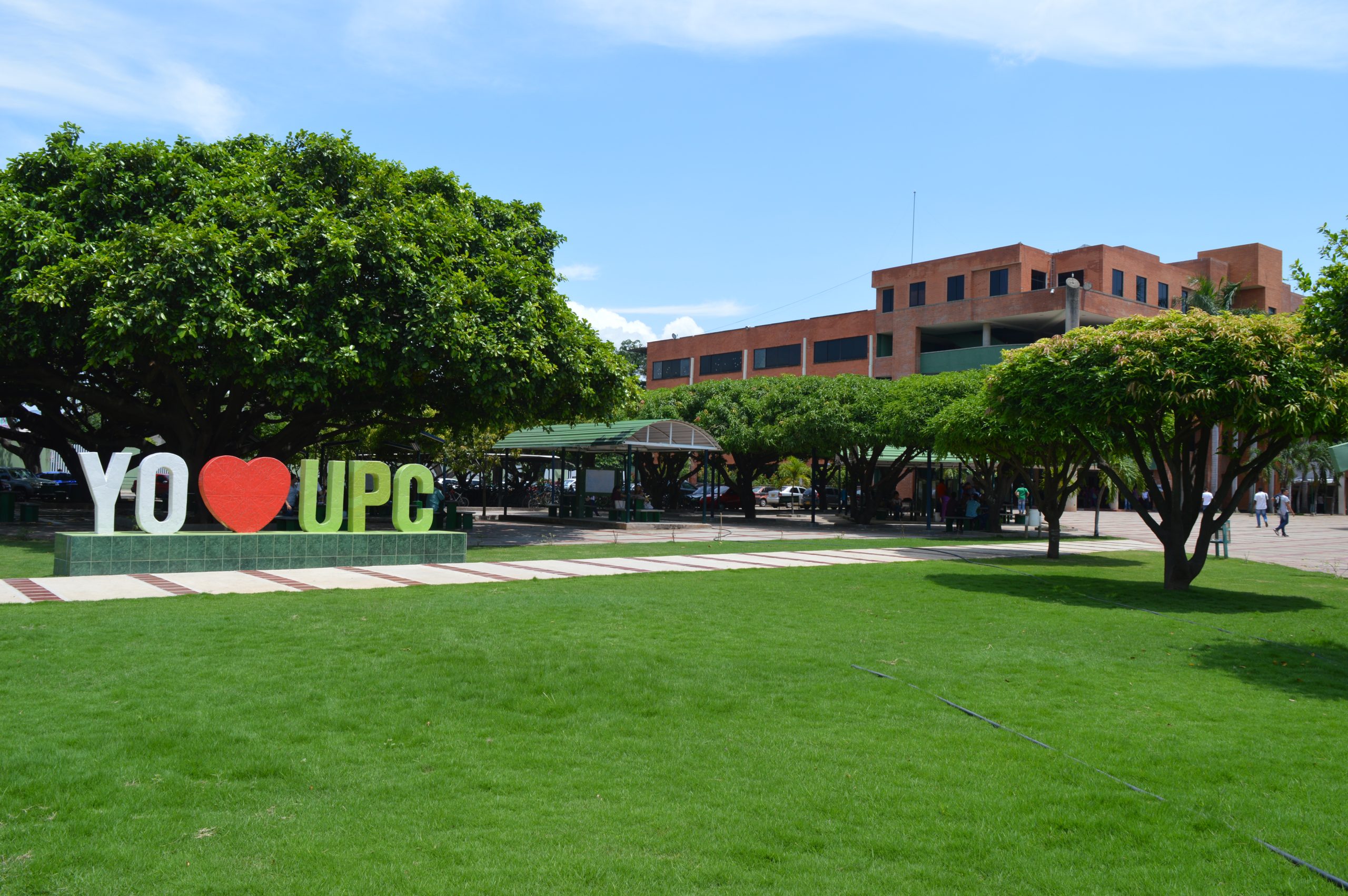 Publicacion de video 1