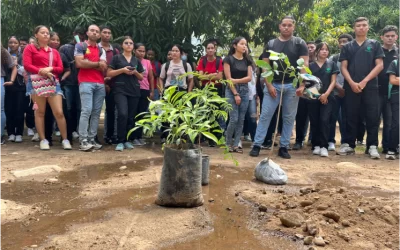 Con la actividad ‘Apadrina un árbol’, la Universidad Popular del Cesar Celebra el Día del Árbol