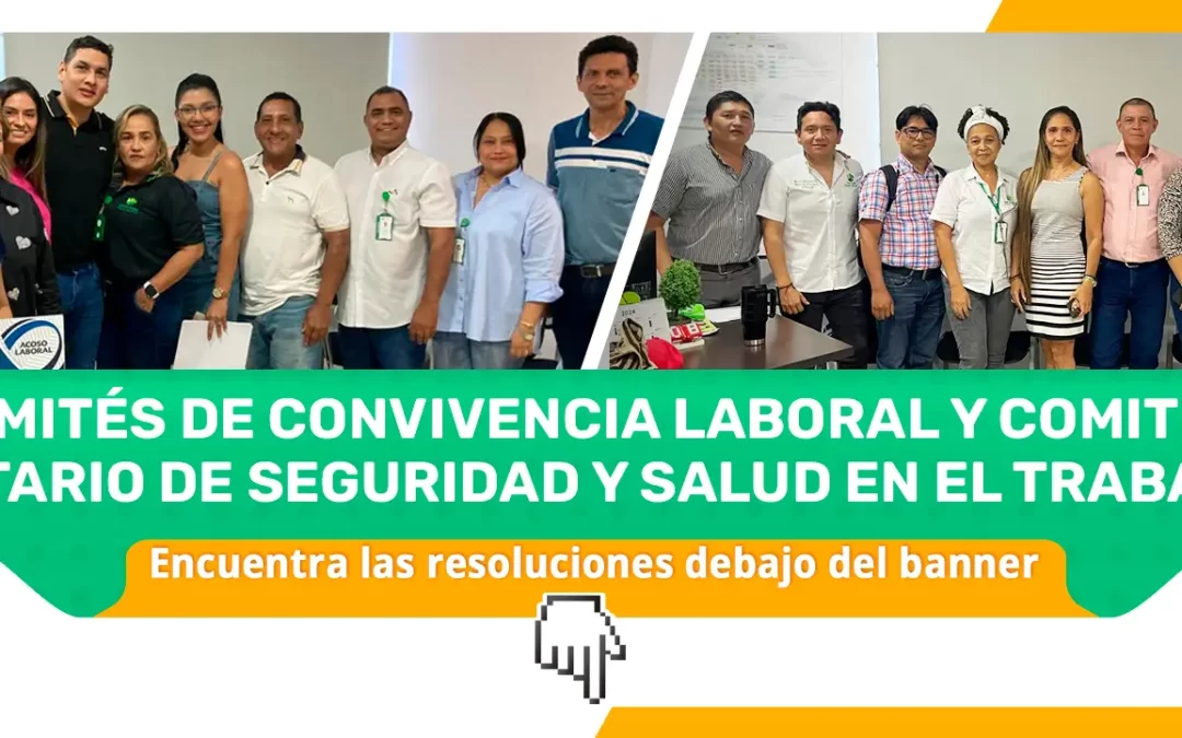 COMITÉ DE CONVIVENCIA LABORAL Y COMITÉ PARITARIO DE SEGURIDAD Y SALUD EN EL TRABAJO