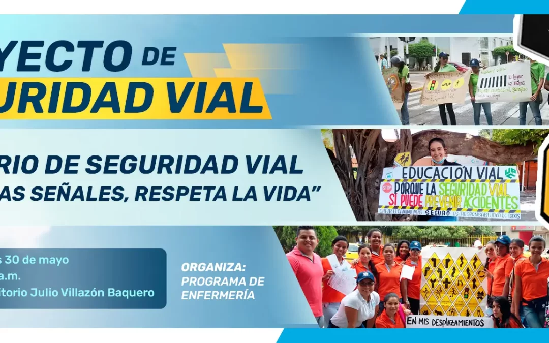 PROYECTO DE SEGURIDAD VIAL