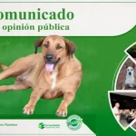 Comunicado a la Opinión Pública