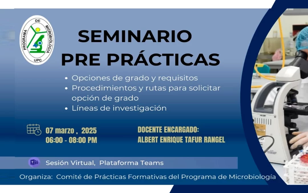 SEMINARIO PRE-PRÁCTICAS