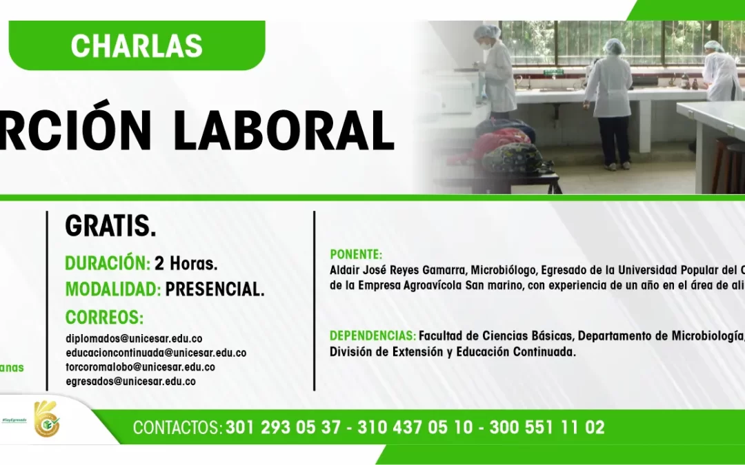 CHARLAS: INSERCIÓN LABORAL