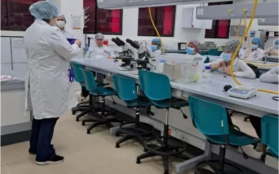 Seminarios Pre-Prácticas del Programa de Microbiología: Afianzando Conocimientos y Preparando a los Estudiantes para el Mundo Laboral