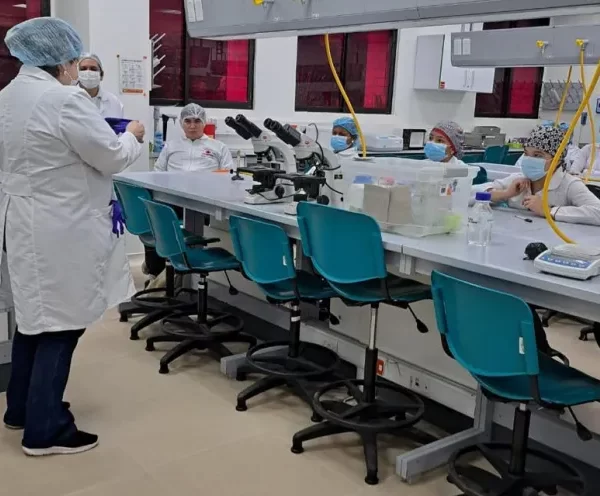 Seminarios Pre-Prácticas del Programa de Microbiología: Afianzando Conocimientos y Preparando a los Estudiantes para el Mundo Laboral