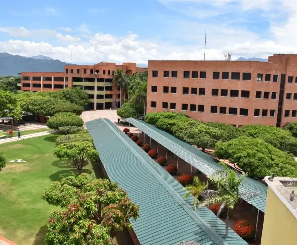 UPC amplía su oferta académica con la estrategia “Universidad en tu territorio”