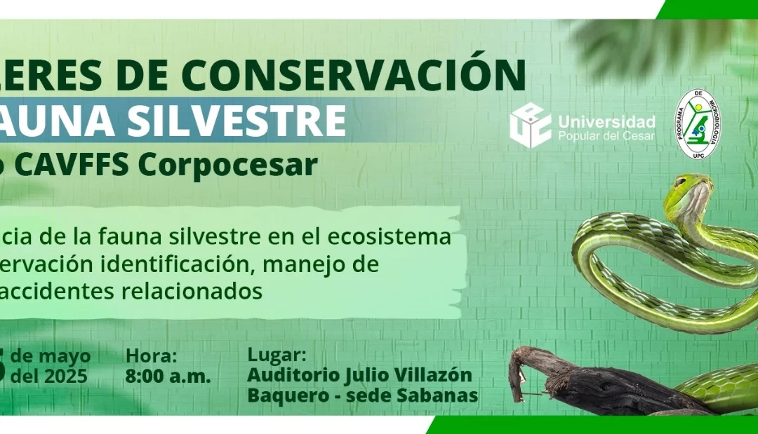 TALLERES DE CONSERVACIÓN DE FAUNA SILVESTRE