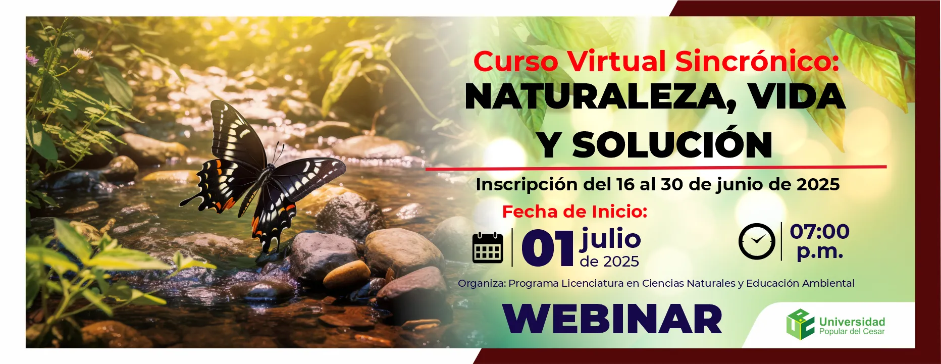 Curso virtual sicronico: naturaleza, vida y solución. Fecha: 01 de julio de 2025 Hora: 7:00 pm