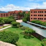 Docentes de la UPC obtienen financiación en Convocatoria Orquídeas 963 sobre mujeres en la IA