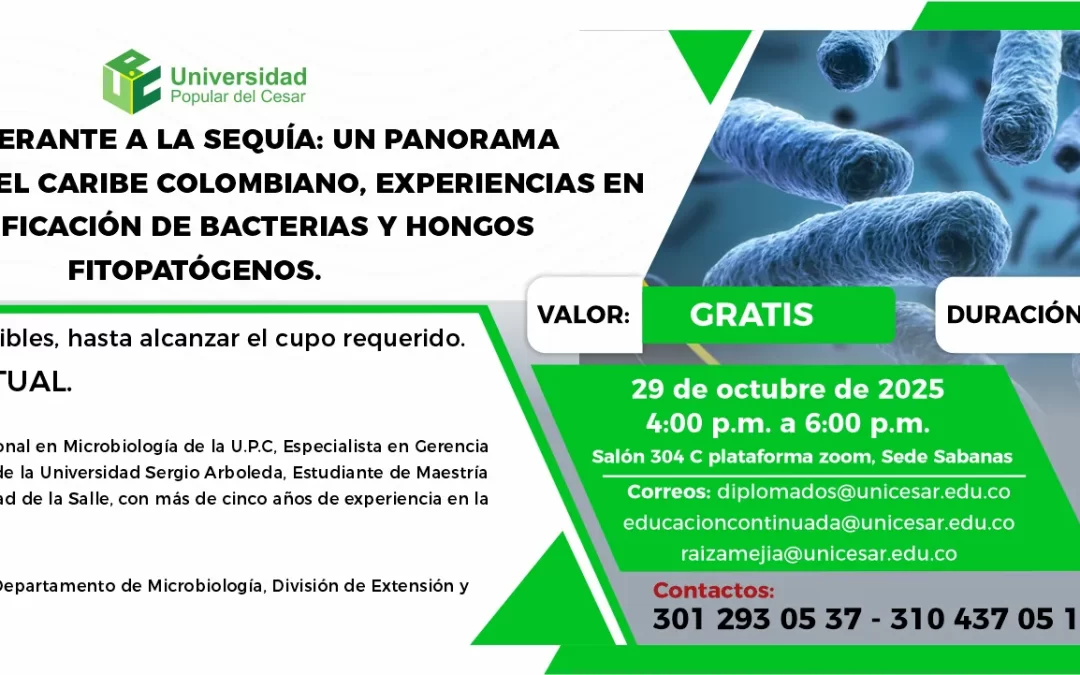 FRIJOL TOLERANTE A LA SEQUÍA: UN PANORAMA PATOGÉNICO EN EL CARIBE COLOMBIANO, EXPERIENCIAS EN LA IDENTIFICACIÓN DE BACTERIAS Y HONGOS FITOPATÓGENOS
