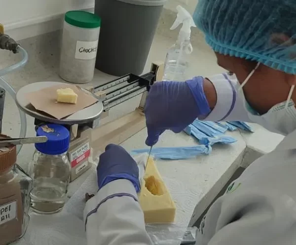 Programa de Microbiología fortalece la formación integral y articulación con el entorno productivo mediante las prácticas formativas