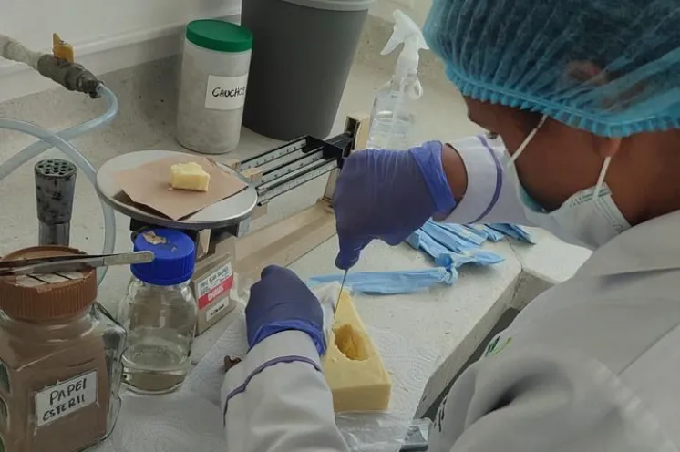 Programa de Microbiología fortalece la formación integral y articulación con el entorno productivo mediante las prácticas formativas