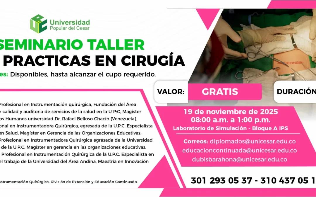 IV SEMINARIO TALLER BUENAS PRÁCTICAS EN CIRUGÍA