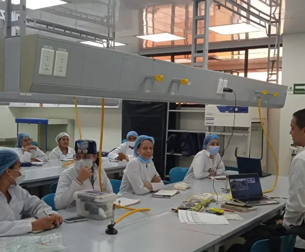 La filosofía detrás del laboratorio: enseñar a pensar la ciencia
