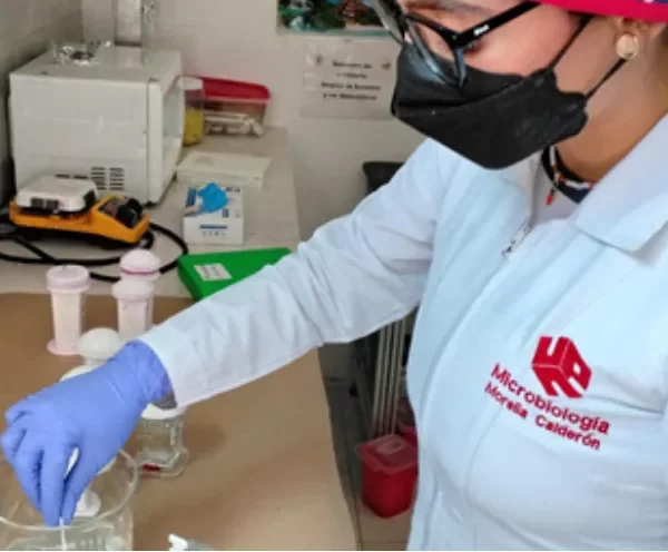 Proyección internacional del Programa de Microbiología: experiencia académica en México