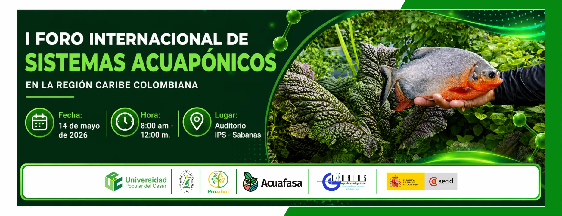 I Foro internacional de sistemas acuapónicos en la región caribe colombiana. Día: 14 de mayo del 2026 Hora: 8:00 am Lugar: Auditorio IPS Sabanas