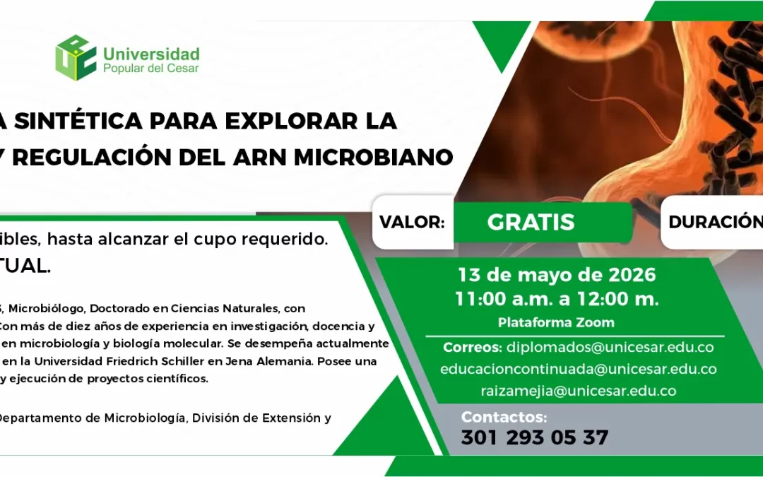 GENÓMICA SINTÉTICA PARA EXPLORAR LA ESTRUCTURA Y REGULACIÓN DEL ARN MICROBIANO