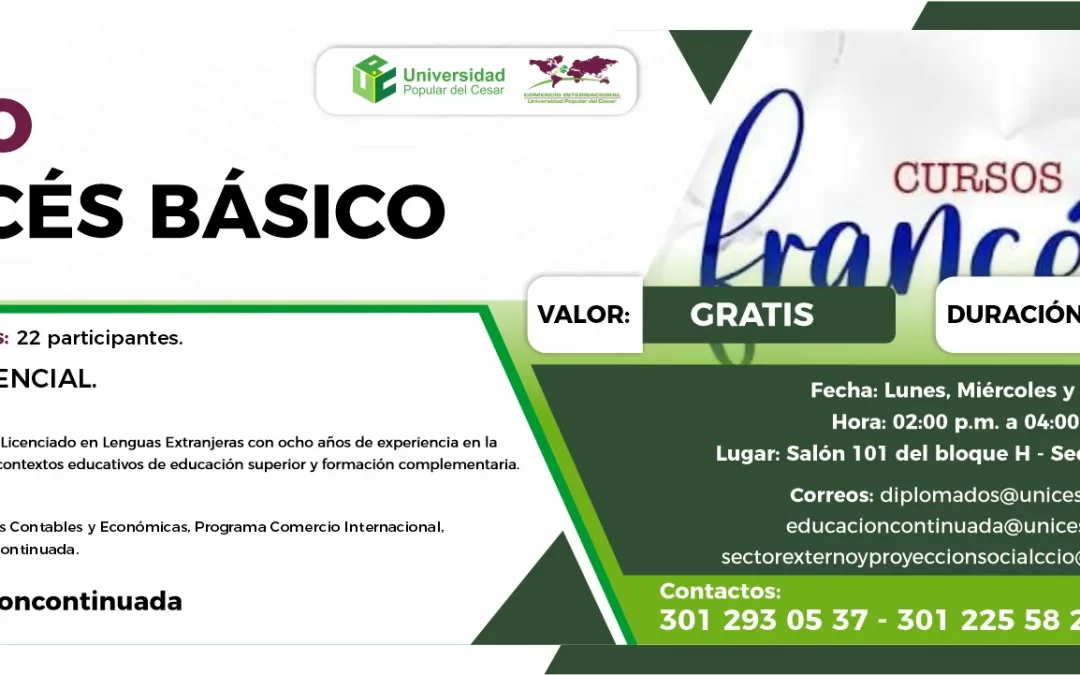 CURSO FRANCÉS BÁSICO
