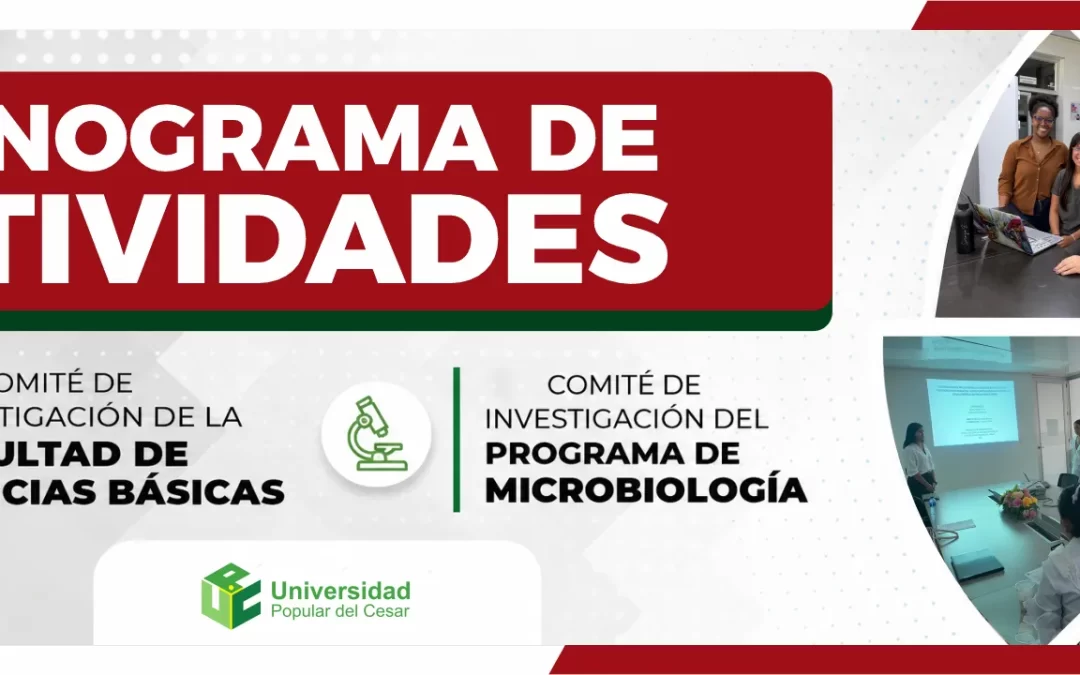 CRONOGRAMA DE ACTIVIDADES